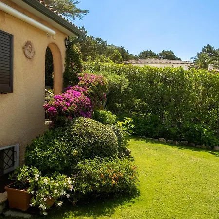 Con Piscina E Vista *