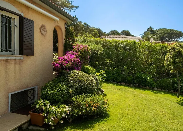 Con Piscina E Vista *